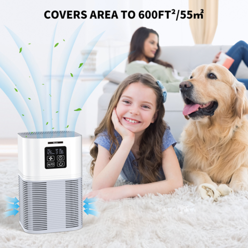 2-in-1 Air Purifier & Aromatherapy Diffuser – HEPA Filter, Auto Mode, LED Touch Panel